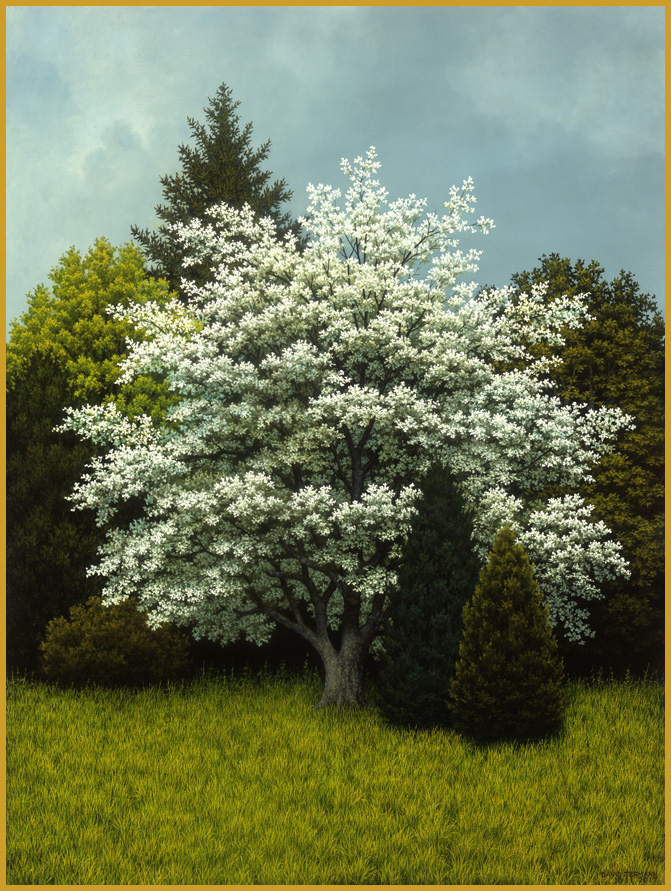 the dogwood tree