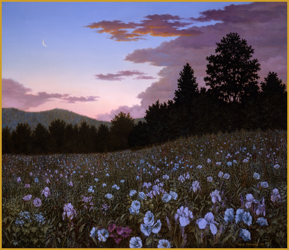 Wildflowers, Sundown